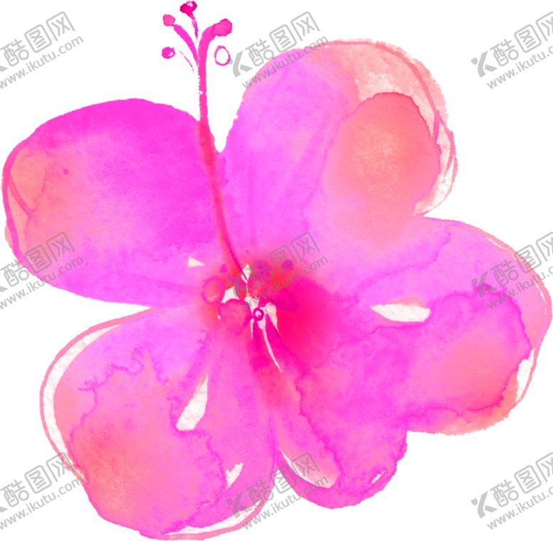 编号：82218505111135536006【酷图网】源文件下载-鲜花素材