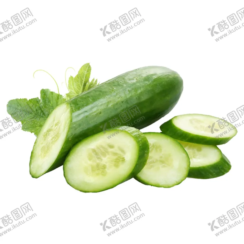 编号：96713705021317313861【酷图网】源文件下载-黄瓜