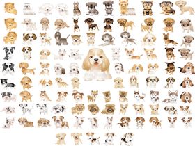 狗狗设计元素