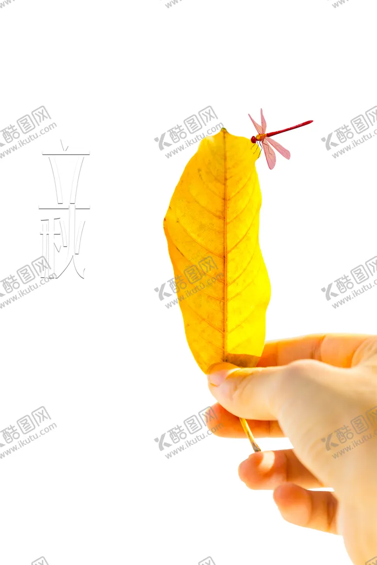 编号：64446706260725186924【酷图网】源文件下载-立秋