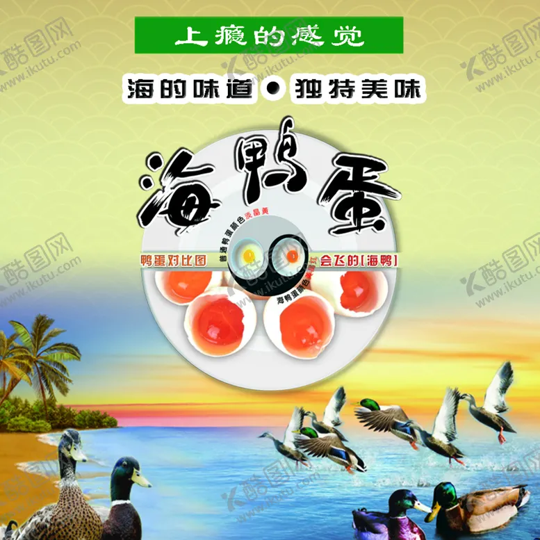 编号：73659109281432445193【酷图网】源文件下载-海鸭蛋