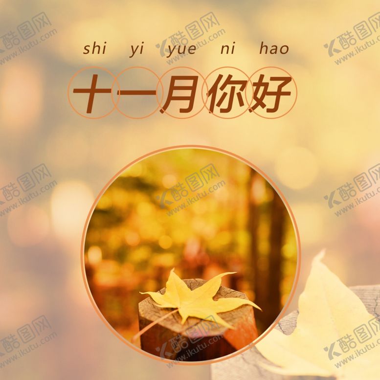 编号：30283909270340514954【酷图网】源文件下载-十一月你好