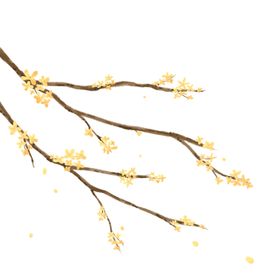 手绘桂花png免抠素材插画树黄色的