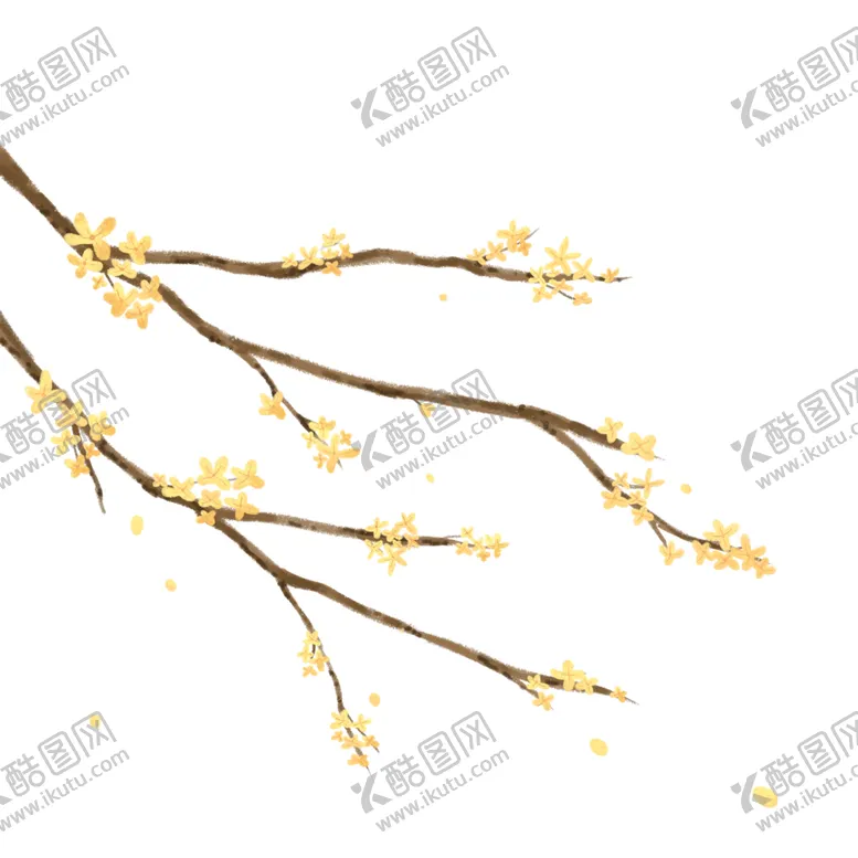 编号：63617902092336183203【酷图网】源文件下载-手绘桂花png免抠素材