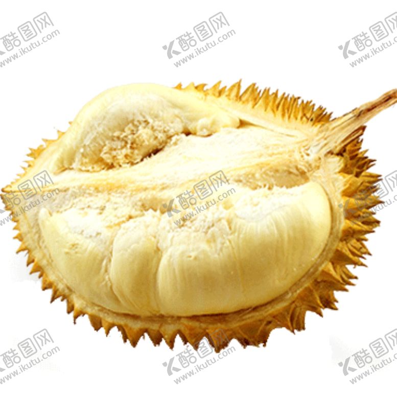 编号：89224309192138526285【酷图网】源文件下载-榴莲素材