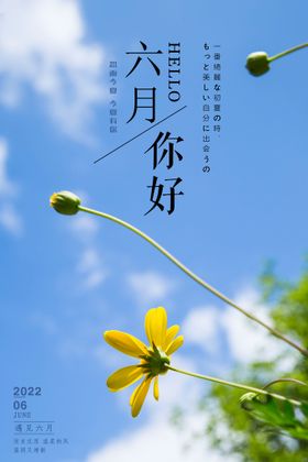 简约小清新你好六月遇见夏天宣传