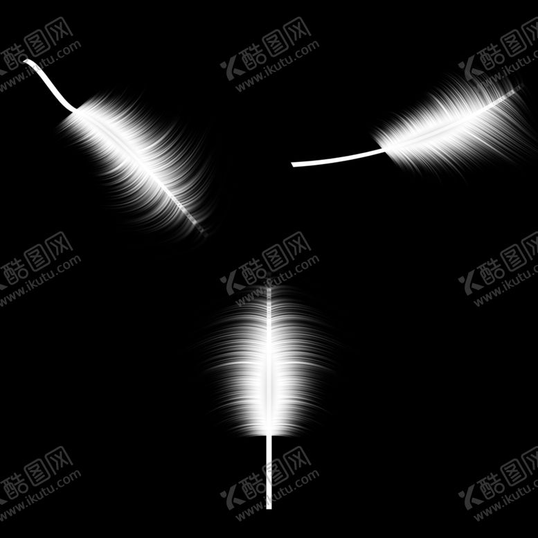 编号：34387310081415191738【酷图网】源文件下载-羽毛