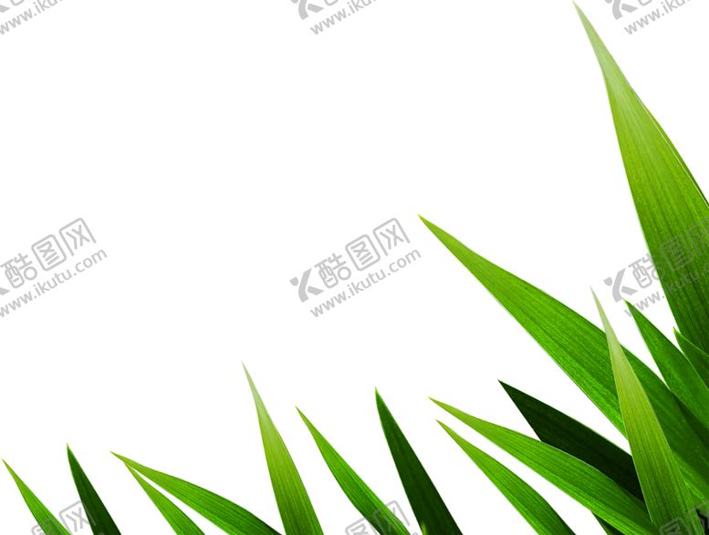 编号：80596010302241032316【酷图网】源文件下载-绿色植物