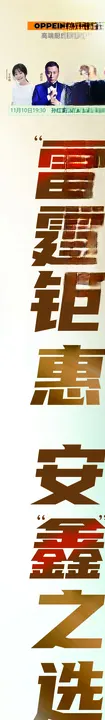 欧派橱柜衣柜横幅竖幅
