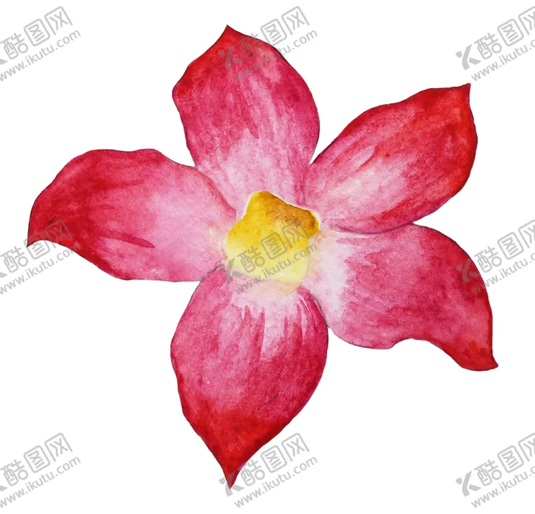 编号：24430007070858189049【酷图网】源文件下载-清新水彩植物花朵插画