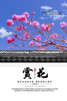 桃花樱花海报节日海报