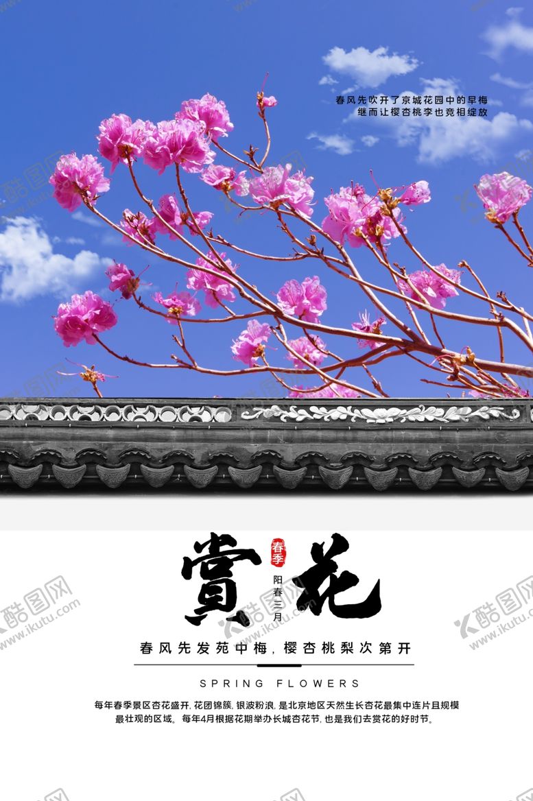编号：83324010050341493453【酷图网】源文件下载-春暖花开樱花海报桃花海报