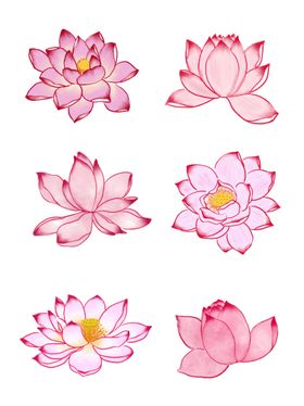 水彩荷花