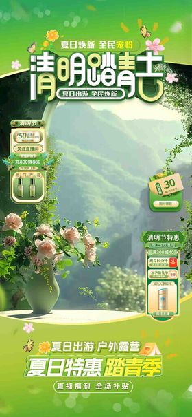 夏日出游清明踏青直播间海报