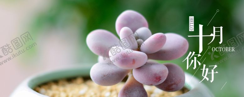 编号：32026710181814112897【酷图网】源文件下载-十月你好