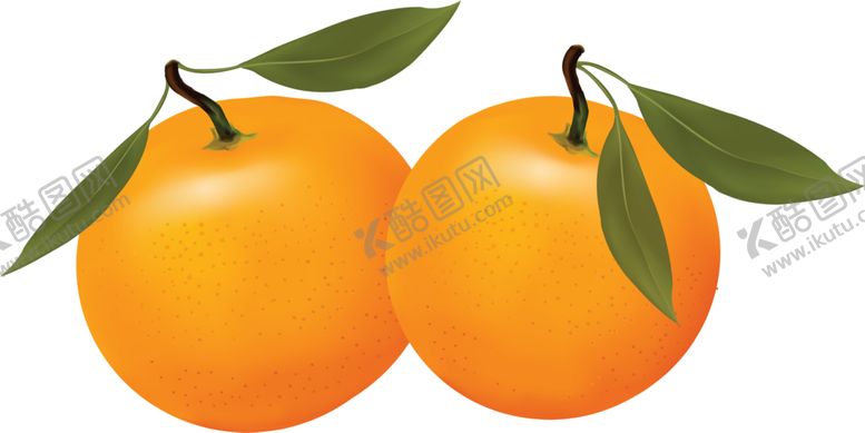 编号：14593009181812027273【酷图网】源文件下载-桔子