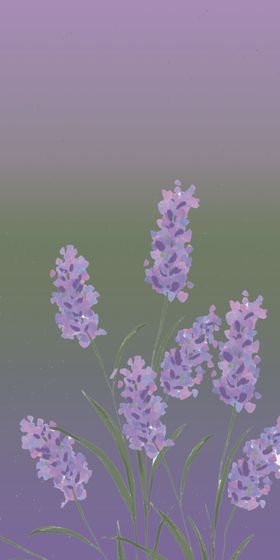 花朵米手机壳壁纸渐变