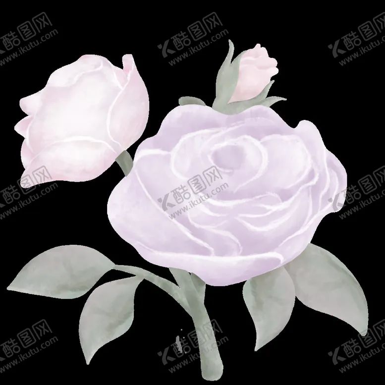 编号：15632809280913424398【酷图网】源文件下载-玫瑰花