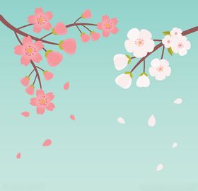 樱花
