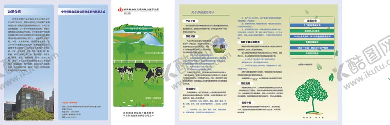 编号：54202506242134206159【酷图网】源文件下载-母猪折页