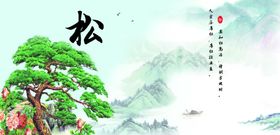 文雅系列松