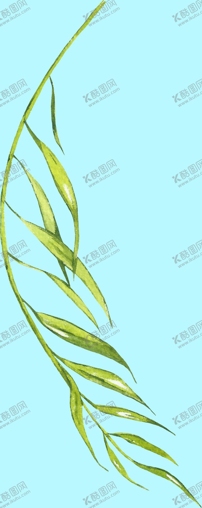 编号：57745009300556118792【酷图网】源文件下载-花卉树叶