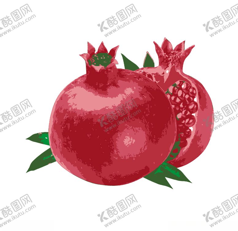 编号：92185309200934333526【酷图网】源文件下载-石榴插画