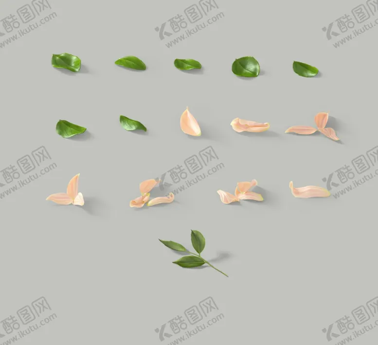 编号：31726306281023478193【酷图网】源文件下载-绿色树叶花瓣合成海报素材