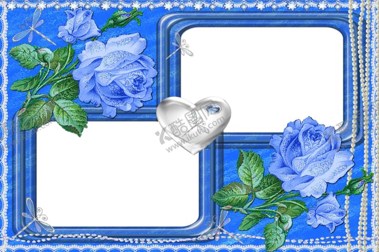 编号：87639109170252458916【酷图网】源文件下载-相框蓝玫瑰