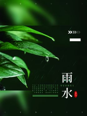 雨水