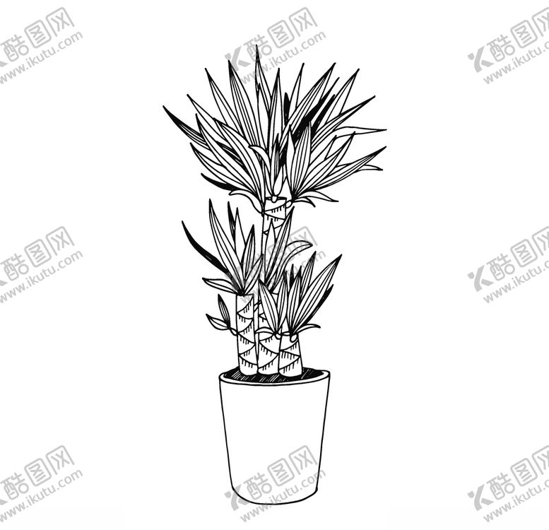 编号：31248106281515129867【酷图网】源文件下载-植物线稿