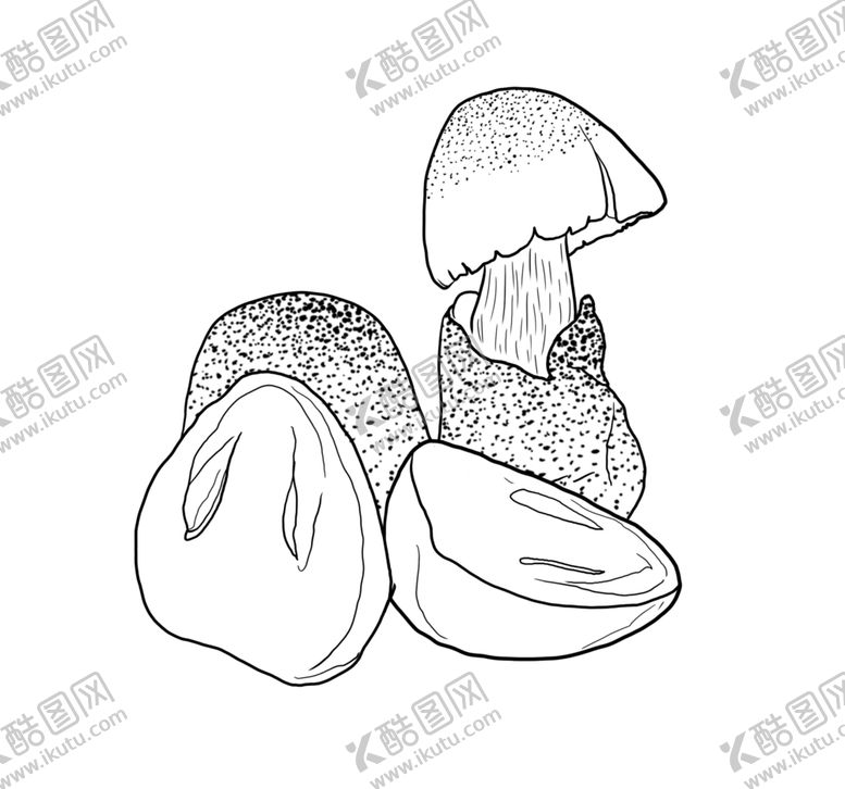 编号：64055309240234141091【酷图网】源文件下载-草菇
