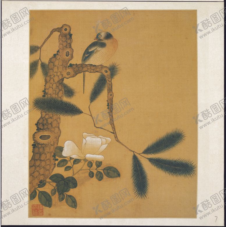 编号：33227210280852091893【酷图网】源文件下载-植物花朵工笔画