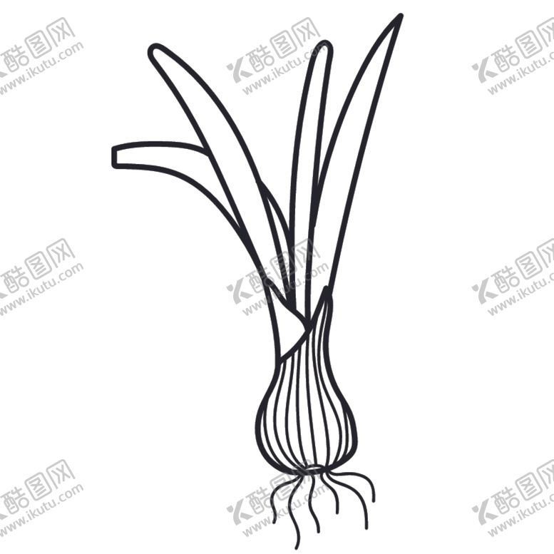 编号：62507909301817107586【酷图网】源文件下载-手绘植物