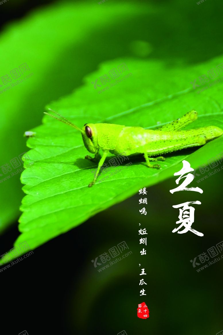 编号：43681607071429148554【酷图网】源文件下载-立夏