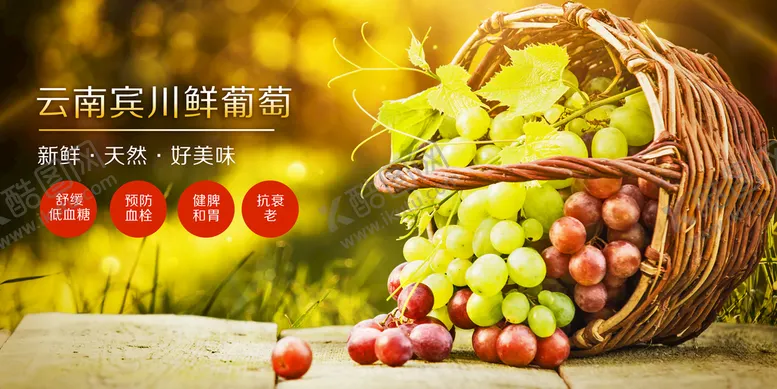 编号：73541609271048019507【酷图网】源文件下载-葡萄