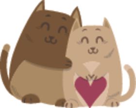 宠物情侣猫咪