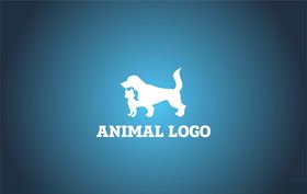 宠物猫狗金毛沐浴露香波电商详情页