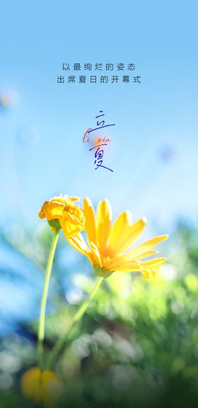 立夏节气海报夏天夏