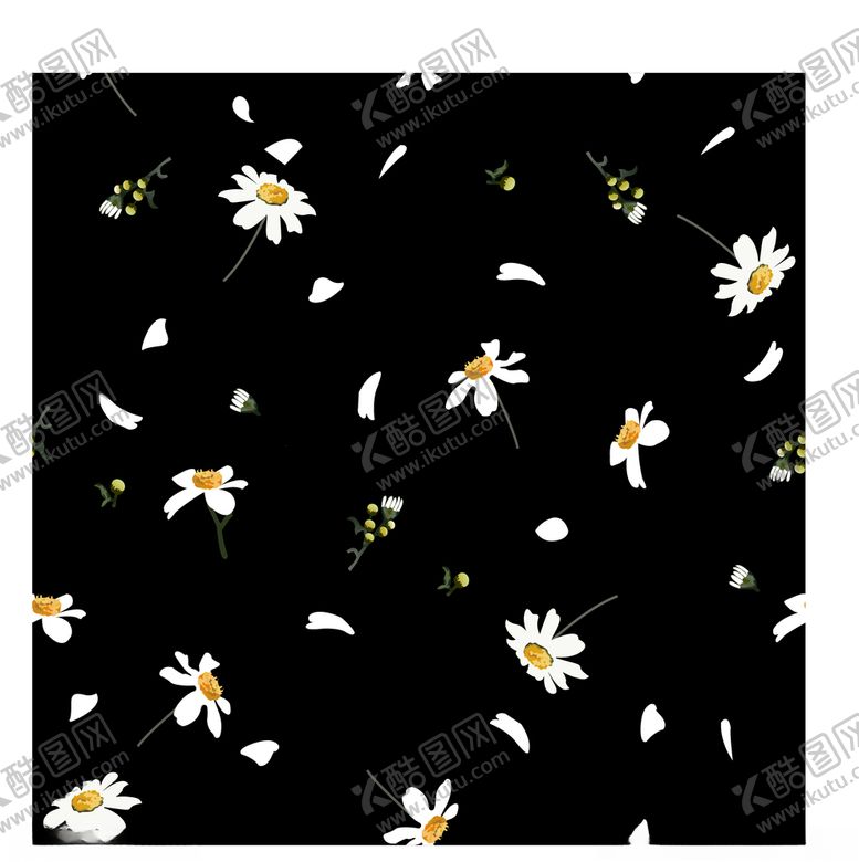 编号：59661310220102441195【酷图网】源文件下载-小雏菊