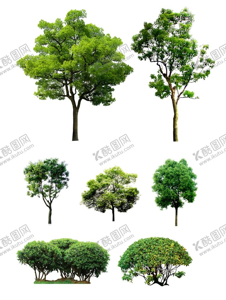 编号：35708511011134168143【酷图网】源文件下载-手绘树高清树元素树木卡通树大树