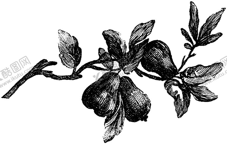 编号：79104010281910061713【酷图网】源文件下载-花纹边框