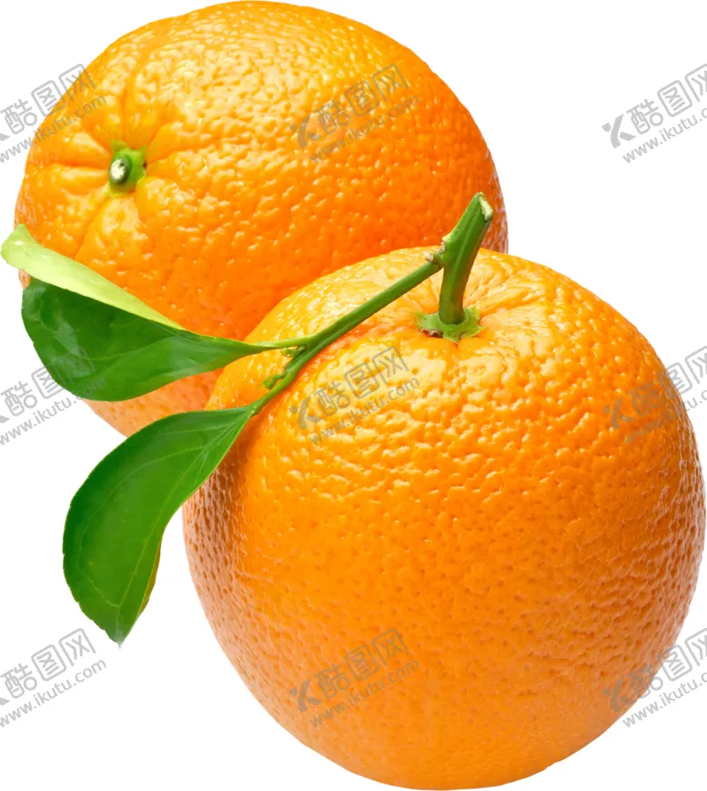 编号：41394006260036596344【酷图网】源文件下载-桔子