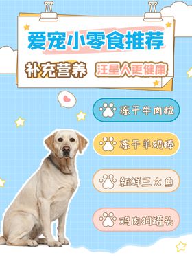 宠物小零食海报