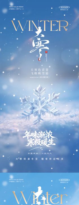 地产大寒节气雪花系列海报