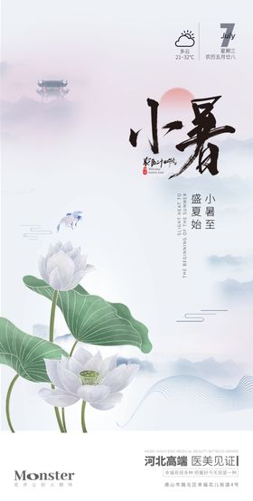 医美小暑节气