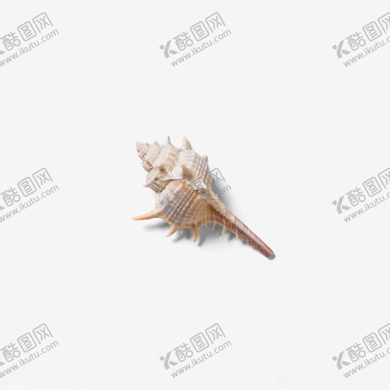 编号：35354602212004455362【酷图网】源文件下载-贝壳