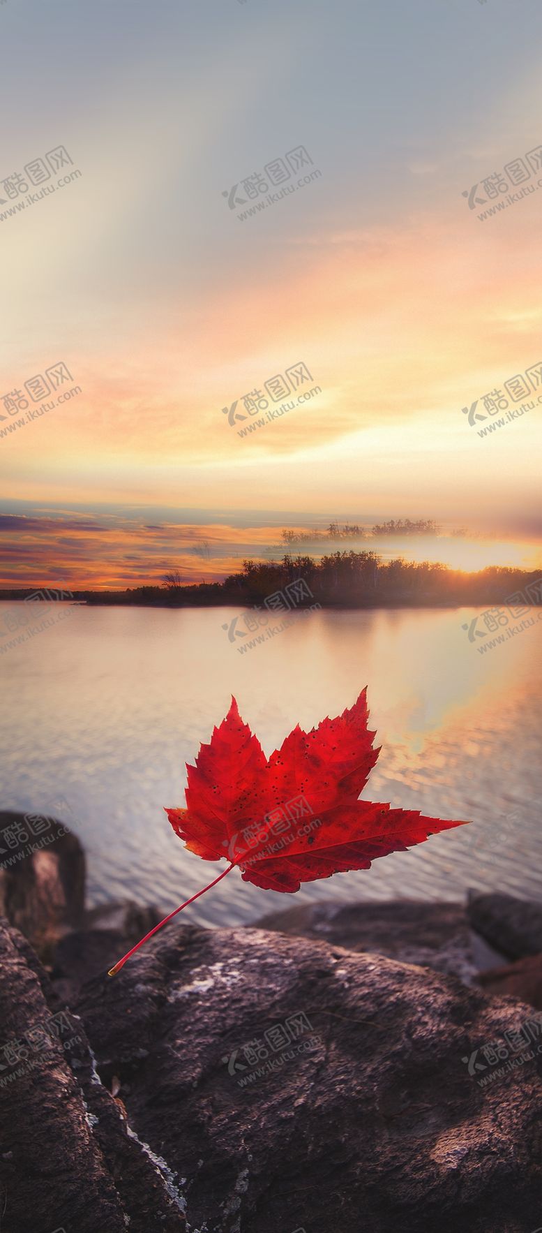 编号：59252209251818521944【酷图网】源文件下载-地产重阳节