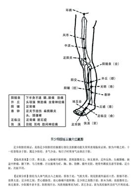 十二经脉