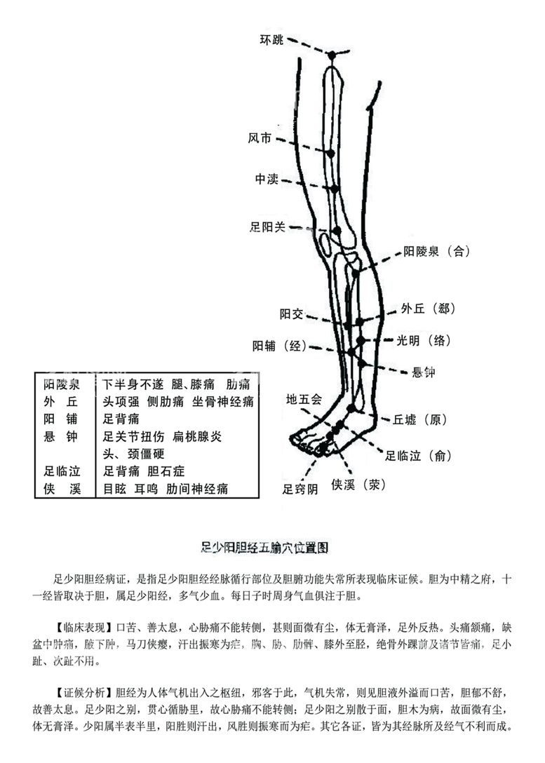 编号：97728711242101003397【酷图网】源文件下载-十二经脉